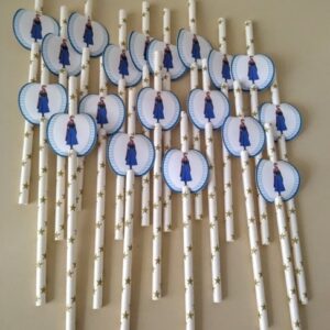 KIT COM 20 CANUDOS FROZEN | PRONTA ENTREGA