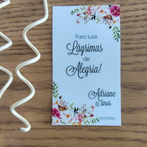 Lágrimas de Alegria 15 Anos